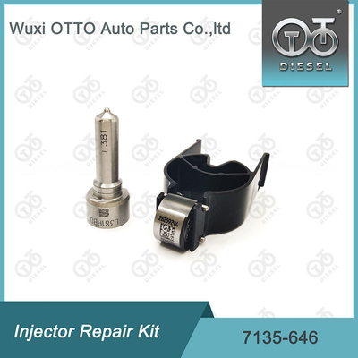 7135-646 Delphi Injector Repair Kit Untuk Injector 28232251 / R03101D / R05102D